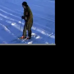 Backyard gap to fall