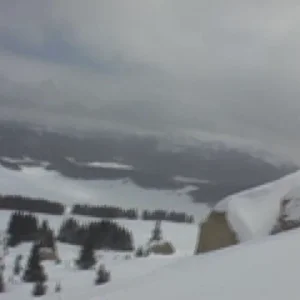 Double back attempts