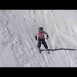 Just another day in the park