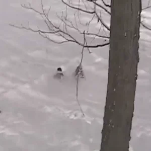 East Coast Backcountry