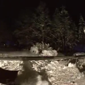 Fun at Oppdal 12. November!