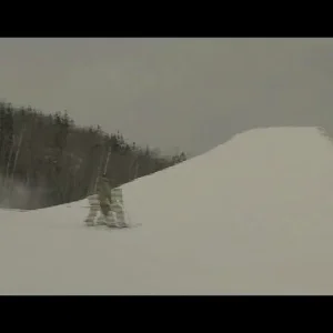 Cedric T-F 2005-2006 promo