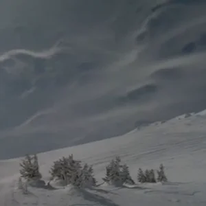 Still Shredding Oregon