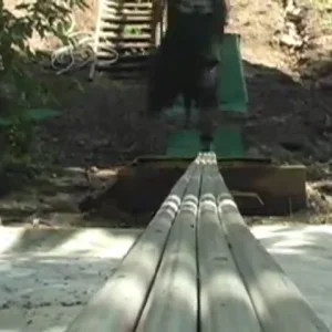 33 Tricks, 1 Rail...A Summer Skiing Compilation