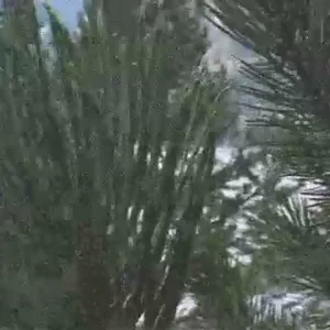 Edit feedback please