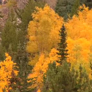 Fall is here winters near