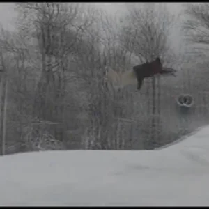 Little bristol promo