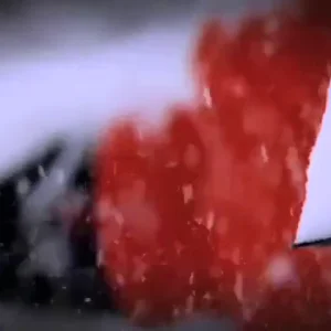 Team Rossi at SnoH2O