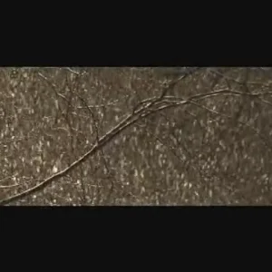 RedBull Jibs&Clips 08