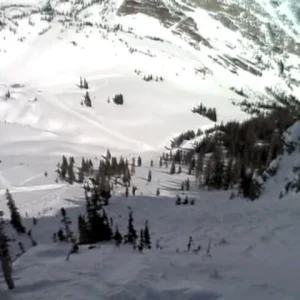 2bi4 - Wheres The Powder Lebowski