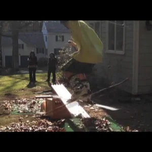 I almost killed my cat