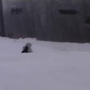 Fogski ( sunday river )