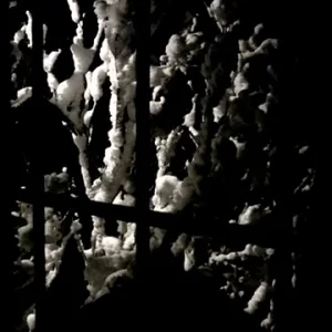 Came Up In the Streetz - 7 Springs Edit ft. Noah Killen