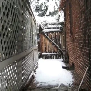 Shots from the Season