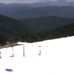 St Mary's Summer Sesh