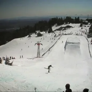 Sorry for Partying Teaser