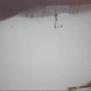 Nubs Nob January 2010 Draft