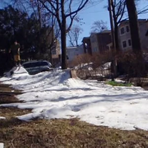 Small sesh on the lawn