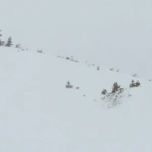 Skiin some Pow jumps
