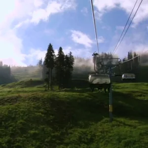 Tour of the Compound