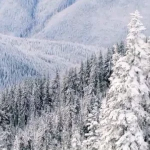 The Project/ 09 Photos