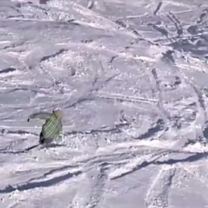 Anthony Vuignier Selfedit 2009-2010