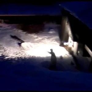 3 shots in the backyard