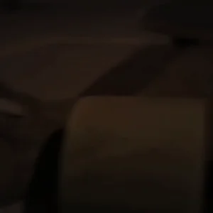 Whatcha got there tiger?