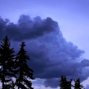 Summer Practice (Sketchy Short)