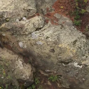 Good fun on the bikes.