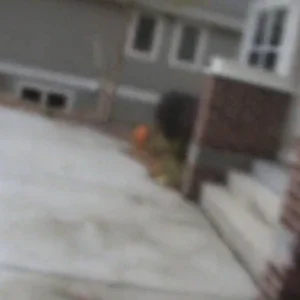 Last Fall Tramp Session