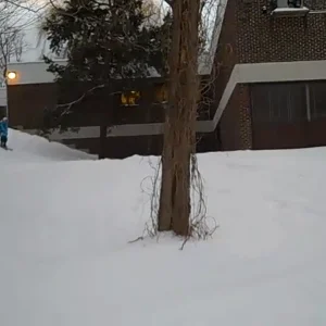What trick is this, backflip or lincoln loop?