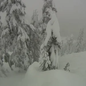 A few Days from last March