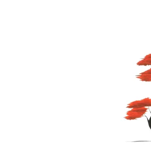 EP.OV Part 1 - Eric Pollard explains Nimbus Independent