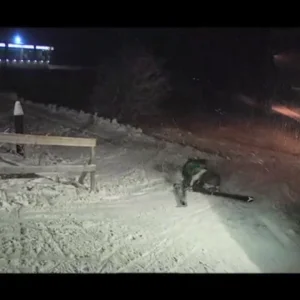 Gaute Silseth 2010 Self Edit