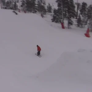 Switch 720 Truckdriver