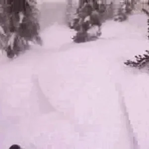 Squaw Valley Trees 3-25-11 (storm day)