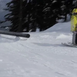 A Day In The Park - Whistler Park April 15th