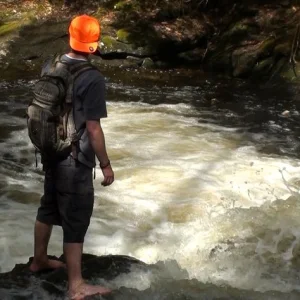 Roam'n down the river