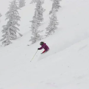 Snowbird Junior Freeskiing Nationals! Epic Day