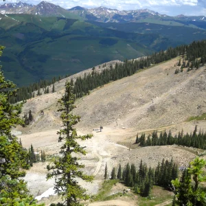 Paradise bowl---we ski this shit ha