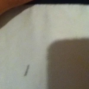 WTT: Xl LDC Dreamsicle Pants for L Dreamsicle Pants