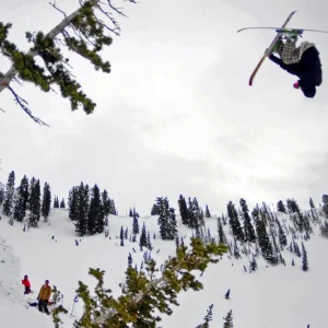 Da white pine t park