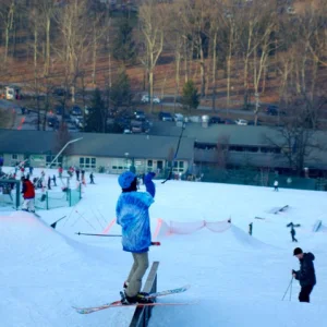 Pole Flip
