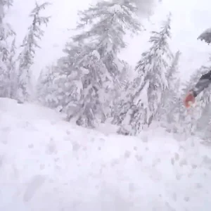 Brody Leven, eaten by Tahoe pow