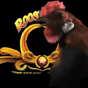 French Freestyle Touch