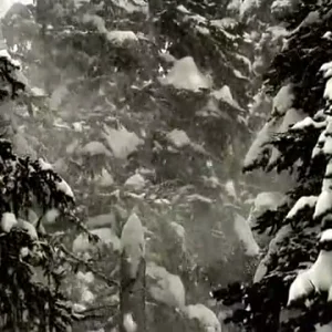 Monashee with the Under Armour Team