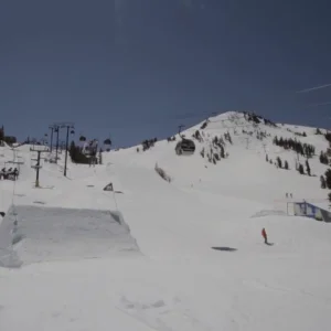 A Day in May at Mamm