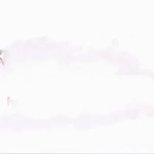 Swiss Freeski Team - Saas-Fee 2011 - September Camp 