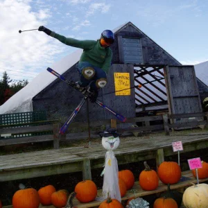 Pimp Scarecrow 